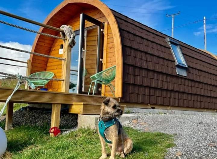The Sleepy Crofter Glamping - Achiltibuie Hotel Bagian luar foto